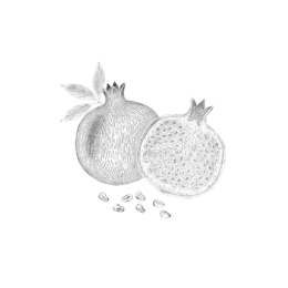 Detailed black‑and‑white line drawing of a whole pomegranate with a leafy stem next to a cross‑section showing arils, with a few seeds scattered, isolated on a transparent background.